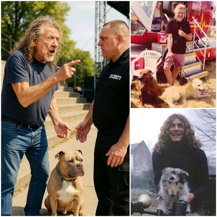 “He’s My Harmony Partner”: The Night Robert Plant’s Dog Arthur Was Barred from the Stage but Still Stole the Show in the Hearts of Fans Everywhere