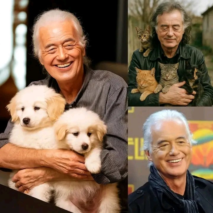 Led Zeppelin Legend Jimmy Page Melts Hearts Online with £50,000 Pledge to Create a Sanctuary for Abandoned Dogs and Cats